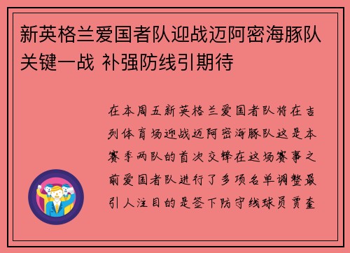 新英格兰爱国者队迎战迈阿密海豚队关键一战 补强防线引期待